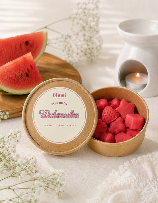 Watermelon Wax melts | Cera aromática de soja con aroma a melón y kiwi